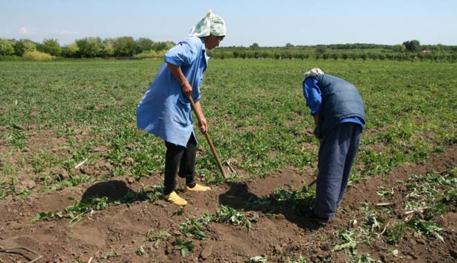 Ajutoare de minimis pentru agricultori - agricultorii-1430415635.jpg