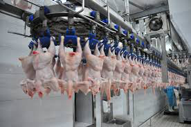 Agricultorii vor fi sprijiniți să înființeze centre de procesare - agricultoriprocesare-1416503068.jpg