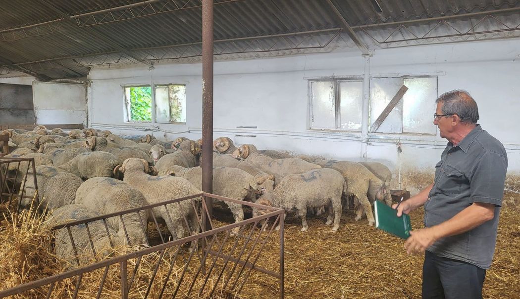 Pesta loveşte năprasnic! Măsuri speciale, cheltuieli suplimentare, jale la buget - agricultura-1-1724159417.jpg