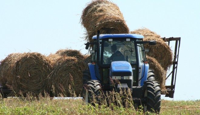 Fermierii constănțeni, chemați să aleagă conducerea Camerei Agricole Județene - agricultura-1377005879.jpg