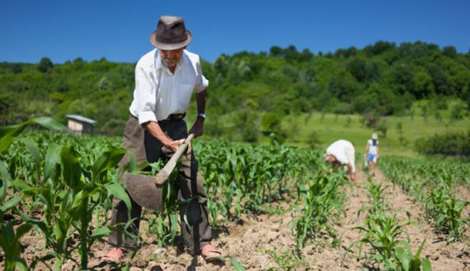 Agricultura va primi 9,363 miliarde de euro până în 2020 - agricultura-1432744016.jpg