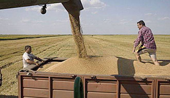 Agricultura a relansat comerțul en-gros - agricultura-1439396729.jpg