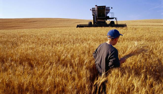 ITM. Ce au găsit inspectorii de muncă la angajatorii din agricultură - agricultura-1444906492.jpg