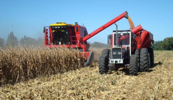 Agricultura a contribuit cu peste 11% la PIB, în 2014 - agricultura-1444930473.jpg