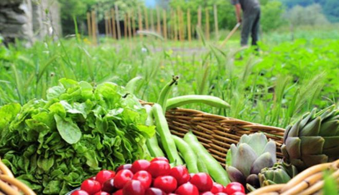 Vești bune pentru fermieri. Vin banii - plăți compensatorii de dezvoltare rurală. Suma este uriașă! - agricultura-1519632113.jpg