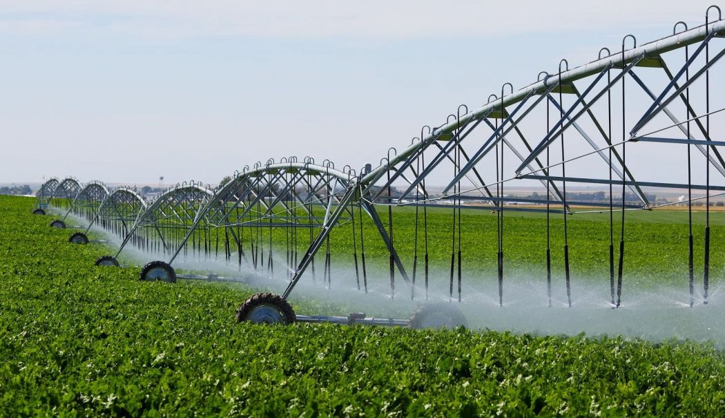Agricultorii cer sprijinul statului pentru investiţii în sistemele de irigaţii - agricultura-1733677086.jpg