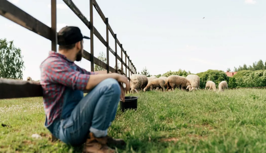 Vremuri negre pentru fermieri! Concurența străină și costurile uriașe îi sufocă - agricultura-1775395338.webp