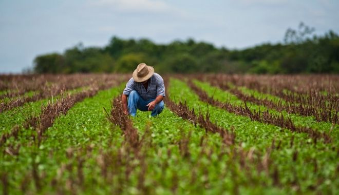 MAE anunță că 85 de muncitori români de la o fermă din Germania sunt infectați cu coronavirus - agricultura1-1592394014.jpg