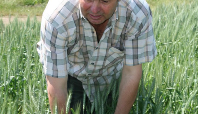 Agricultorii constănțeni au scăpat ieftin - agriculturaascapat-1400686162.jpg
