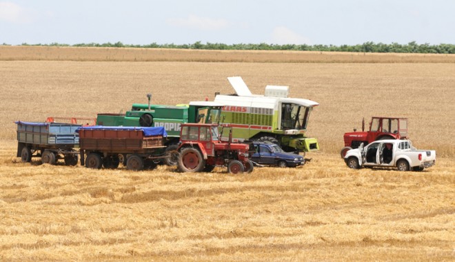 APIA dă fermierilor bani. Află dacă te numeri printre ei - agriculturamasinicamputilaje1-1378220221.jpg
