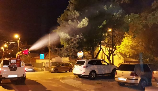 A început DEZINSECŢIA LA CONSTANŢA! Vremea caldă duce la înmulțirea considerabilă a insectelor - ainceputdezinsecialaconstana-1652169449.jpg