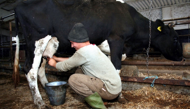 Ajutoare excepționale în sectorul laptelui și produselor lactate - ajutoare-1466698244.jpg