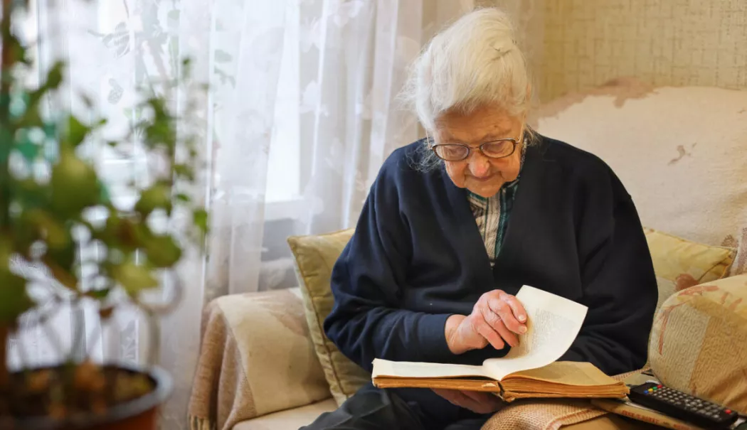 Ajutoarele de stat pentru pensionari, întârziate în această perioadă - ajutoare-pensionari-1777304390.webp