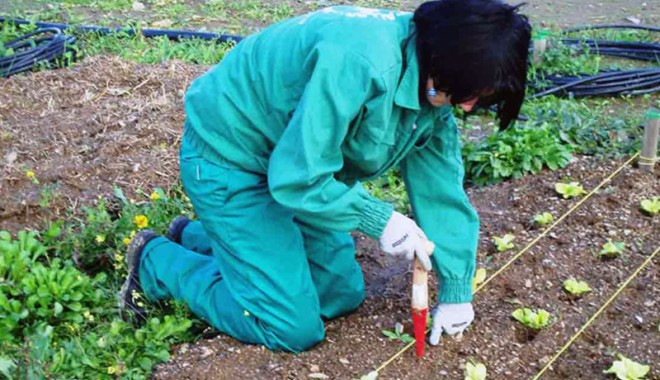 Ajutoare pentru agricultura ecologică - ajutoareagriculturaecologica-1409847680.jpg