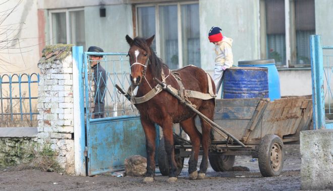 Ajutoare de urgență pentru 470 familii și persoane singure - ajutoaredeurgenta-1581271616.jpg