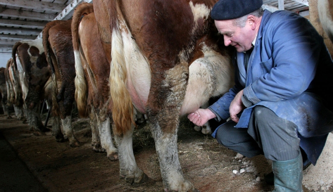 Ajutor excepțional pentru fermierii din sectorul laptelui - ajutor-1464527560.jpg