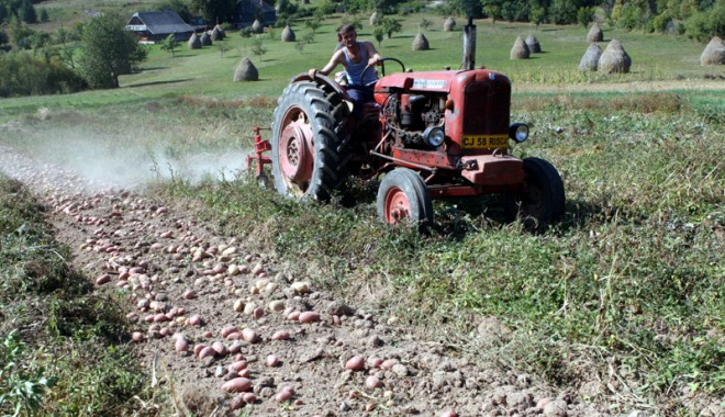 Ajutor de stat pentru motorina din agricultura - ajutordestat-1405866214.jpg