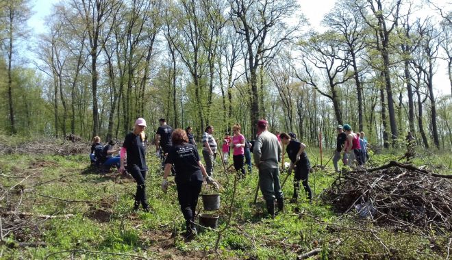 Ajutor de stat pentru servicii de silvomediu, climatice și conservarea pădurilor - ajutordestatpentruserviciidesilv-1582492658.jpg