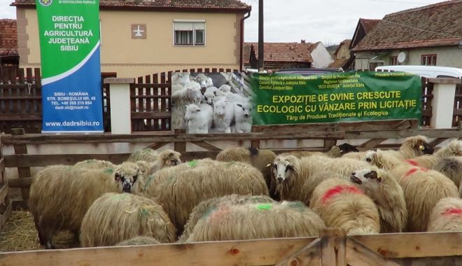 LECȚIE DE VIAȚĂ! Iată cum a fost ajutat un fermier a cărui gospodărie a fost distrusă de incendiu - ajutorfermier-1522739995.jpg