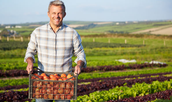 Ajutor financiar pentru organizațiile producătorilor de fructe și legume - ajutorfinanciarpentruproducatori-1507280082.jpg