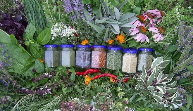 Bani pentru culturile de plante aromatice - ajutoruldeminimisplantearomatice-1616521275.jpg