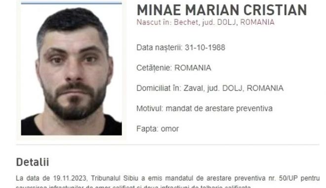 Al doilea suspect în cazul crimei omului de afaceri Adrian Kreiner, adus în România, în luna martie