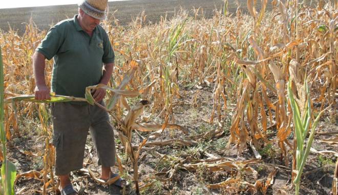 Alarmă în agricultură - alaramainagricultura-1439835402.jpg