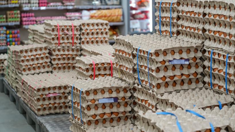 Alertă sanitară înainte de Paşte: milioane de ouă suspecte de contaminare cu Salmonella retrase de pe piaţă