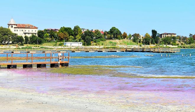Alertă! Lacul Techirghiol a scăzut cu un metru - alertalacultechirghiol21septonli-1600674141.jpg