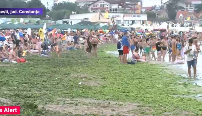 Este invazie de alge pe litoral. Cum arată acum plaja din Costinești