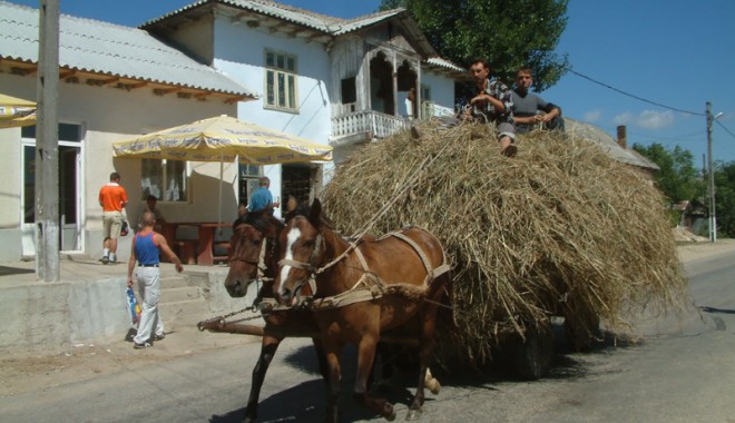 Fii înstărit la tine în sat! - alimanugf50-1314637959.jpg