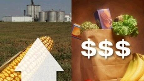 ONU: Prețurile alimentelor tind la nivelul maxim, din februarie - alimente-1310046288.jpg