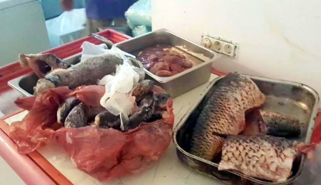 Restaurante închise pe litoral. Carne, ouă și lactate alterate, confiscate și incinerate de inspectorii sanitari - alimentealzterateprotectiaconsum-1473258413.jpg