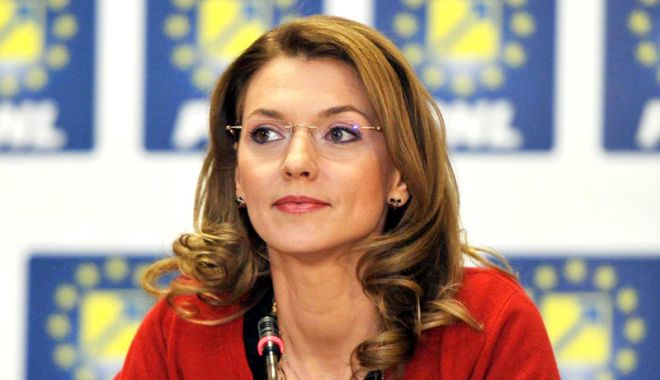 Alina Gorghiu, despre raportul GRECO: 