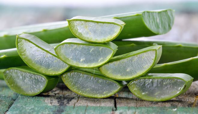 Aloe vera reduce riscul de afecțiuni cronice, cum ar fi diabetul - aloe-vera-1706884647.jpg