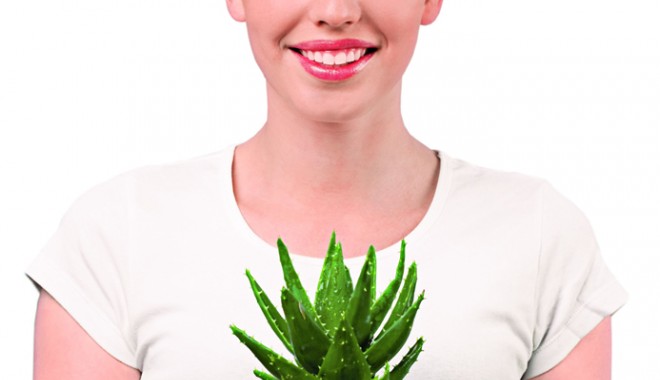 Aloe vera vindecă rănile și bolile de piele - aloevera-1328044005.jpg