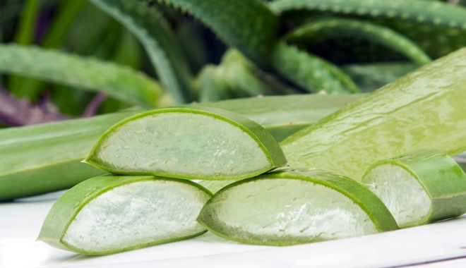 Aloe vera tratează constipația și întărește sistemul imunitar - aloevera2-1494773177.jpg