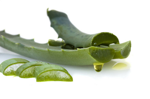 Masca de aloe făcută în casă - aloeverapublimedia-1328809600.jpg