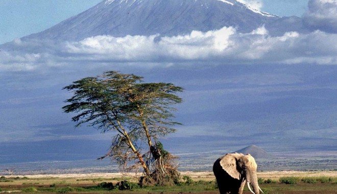 Alpinism / Patru români vor escalada Vârful Kilimanjaro - alpinism-1351591778.jpg