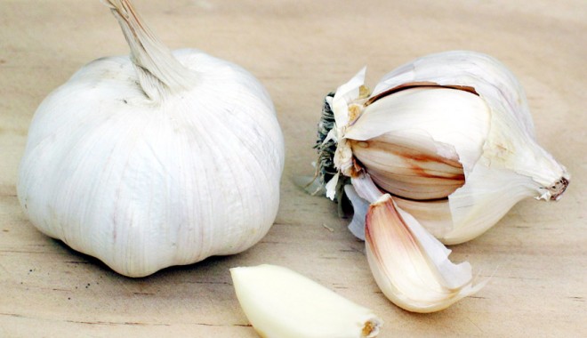 Alternative  naturale  pentru antibiotice - alternative-1326729252.jpg