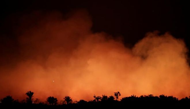 Incendiile din Amazonia / Brazilia acceptă în cele din urmă ajutorul extern - amazon-1566982927.jpg