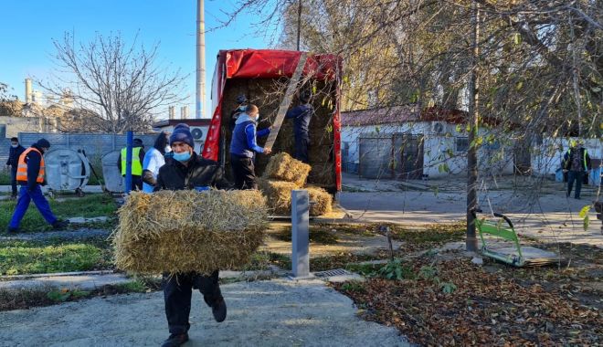 Amenajări la Adăpostul pentru câinii fără stăpân. Autorităţile fac apel la cetăţeni - amenajariadapost-1606667897.jpg