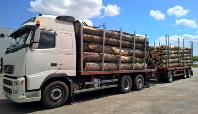 Amenzi de peste 129,68 milioane de lei pentru 31 de companii de pe piața comerțului cu masă lemnoasă - amenzidepeste12968milioanedeleip-1611053481.jpg