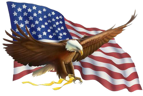 SUA vor fi mai permisive față de imigranți - american-1313783028.jpg