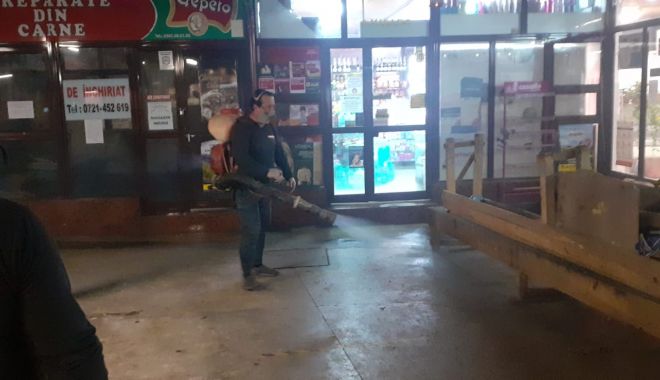 Amplă acţiune de dezinsecţie şi deratizare în pieţele din Constanţa - amplaactiune-1605274515.jpg