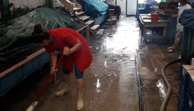 Ample acțiuni de igienizare în piețele agroalimentare din Constanța - ampleactiunideigienizare-1593795347.jpg