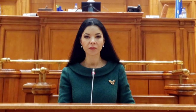 Deputatul Ana Birchall, apel pentru intrarea în vigoare a Legii insolvenței - anabirchalllegeainsolventei-1469542748.jpg