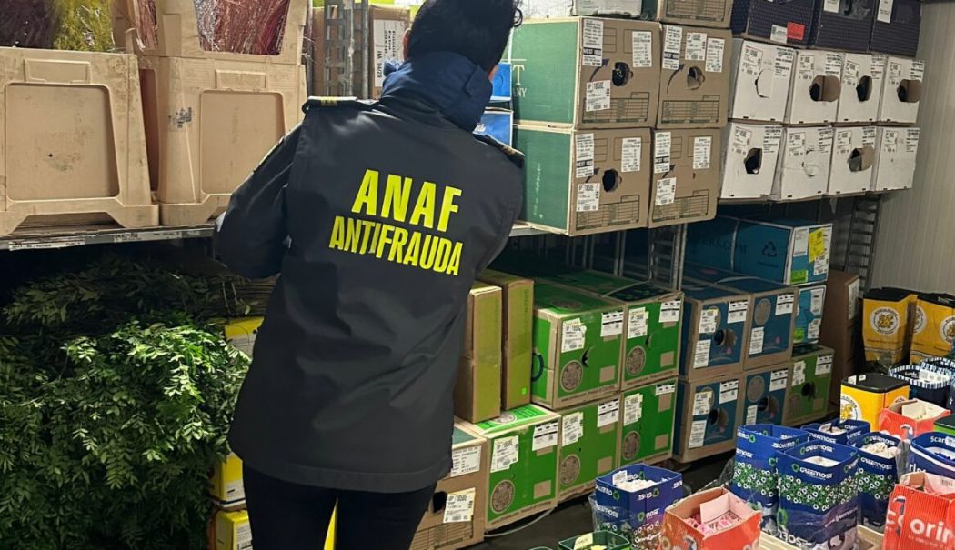 Prime consistente pentru angajaţii ANAF care aduc bani mai mulţi la stat din controale şi executări