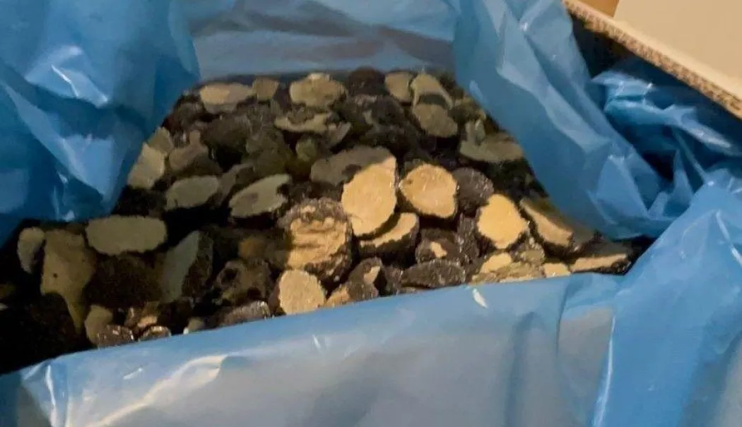 Evaziune uriașă cu trufe și fructe de pădure. Zeci de tone confiscate în controale fulger - anaf-trufe-1773300030.webp
