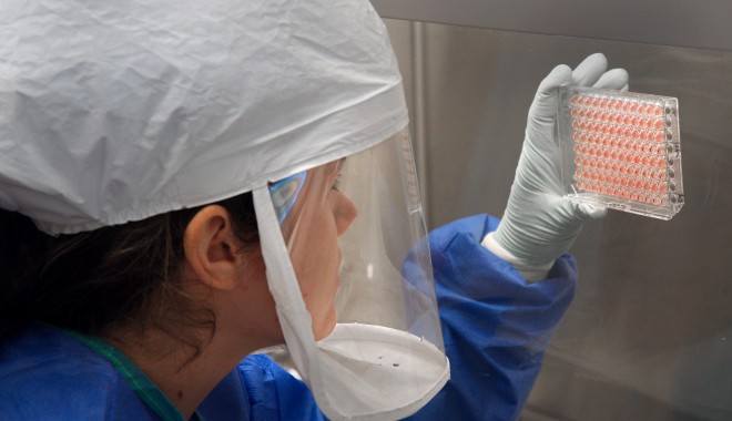 Veste bună! Un nou tip de anticorp împotriva virusului Ebola - analizelaborator-1412241710.jpg